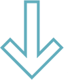 Arrow Down Icon